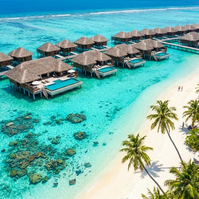 Путевки на Мальдивы - Эксклюзивный отдых